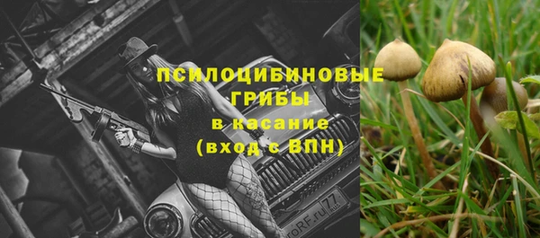 гидра Новосибирск