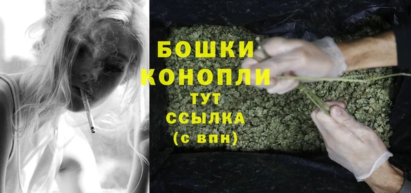 каннабис Ессентукская