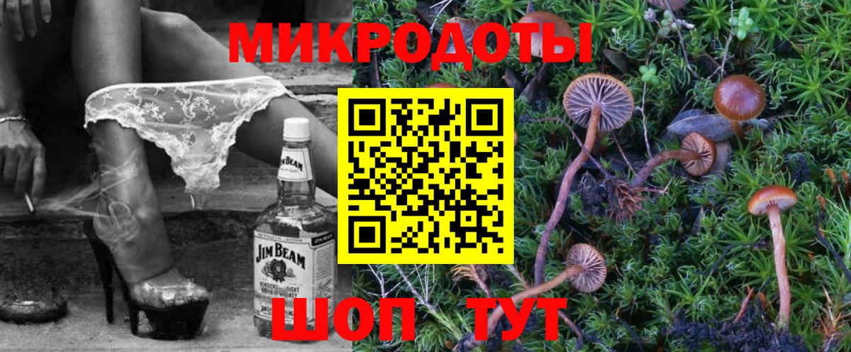 Галлюциногенные грибы Cubensis Россия