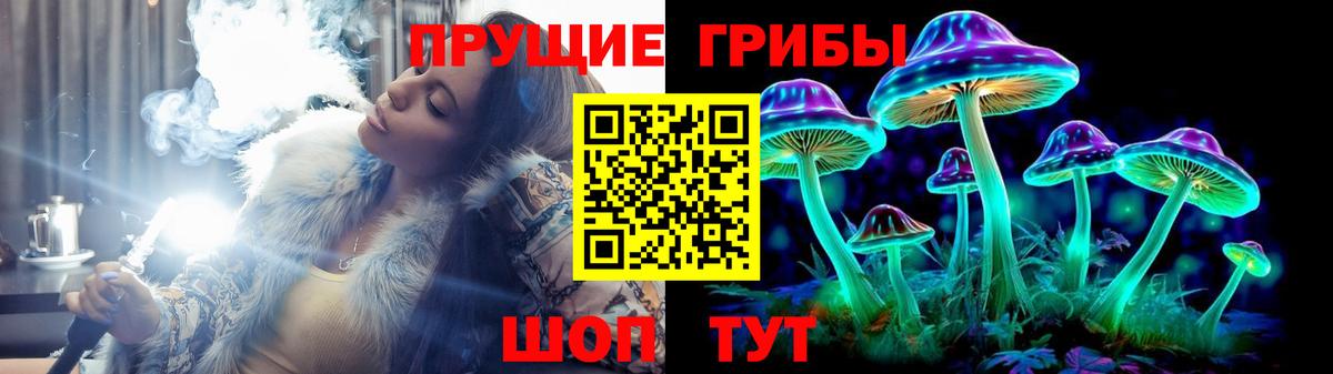 Галлюциногенные грибы Psilocybe  Вход с VPN  Россия 